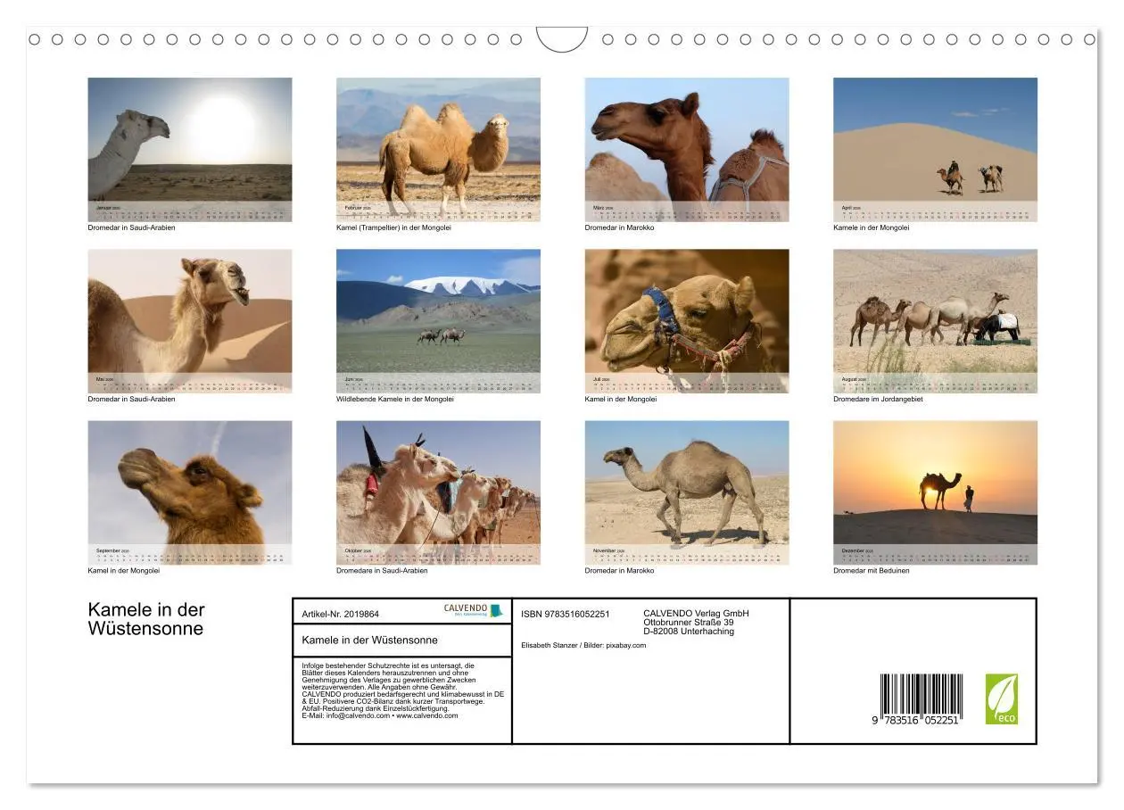 Bild: 9783516052251 | Kamele in der Wüstensonne (Wandkalender 2026 DIN A3 quer), CALVENDO...