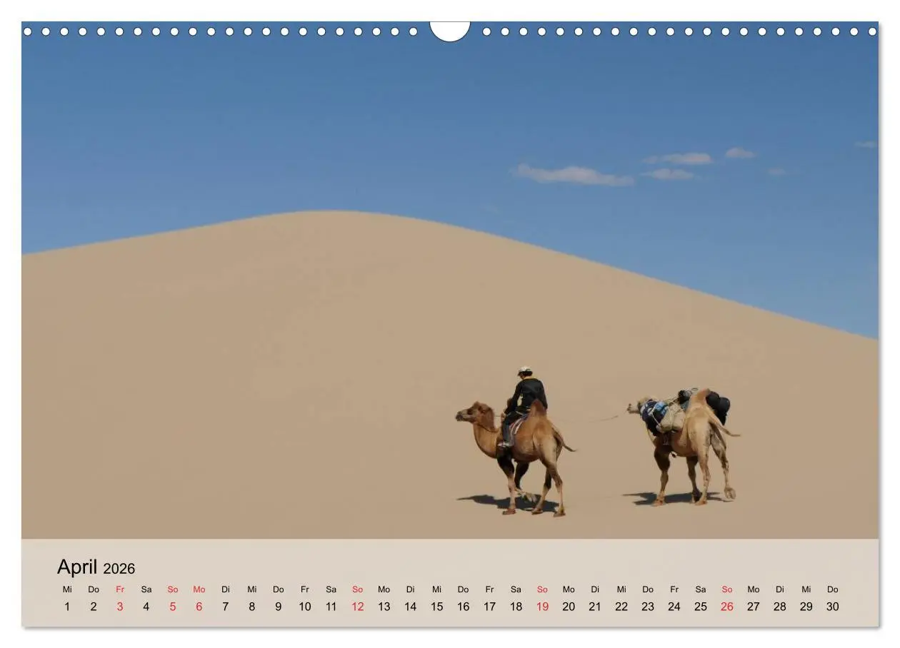 Bild: 9783516052251 | Kamele in der Wüstensonne (Wandkalender 2026 DIN A3 quer), CALVENDO...