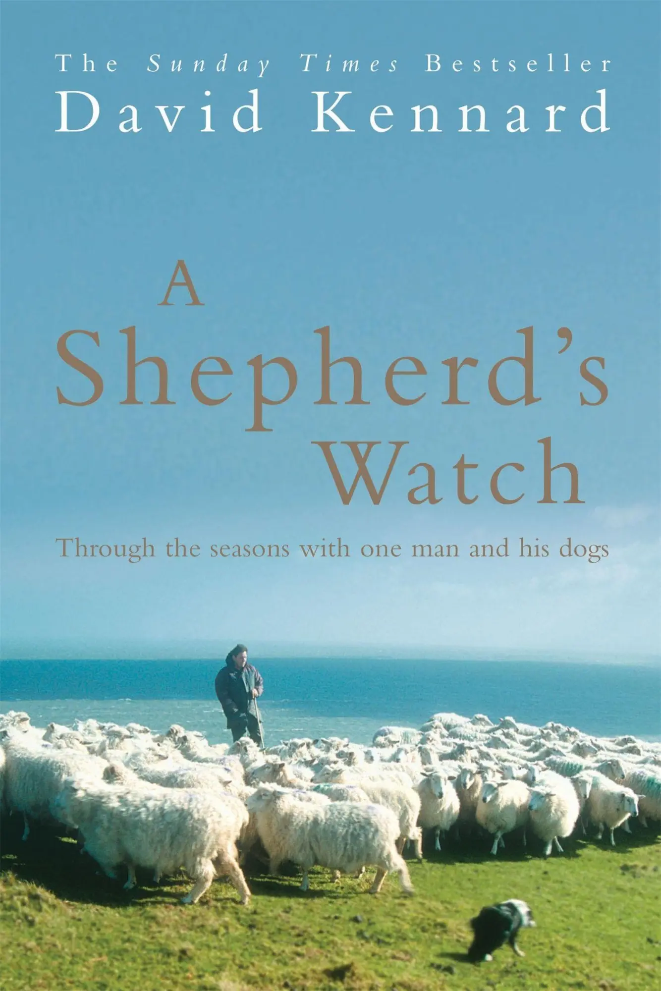 Cover: 9780755312351 | A Shepherd's Watch | David Kennard | Taschenbuch | Englisch | 2005