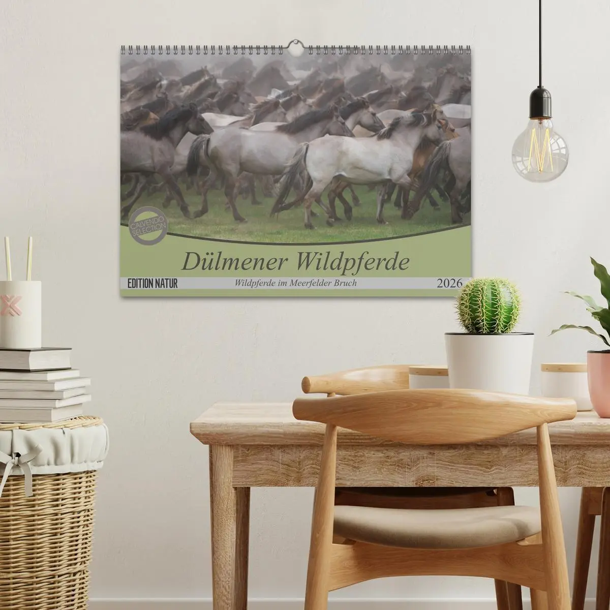 Bild: 9783457882351 | Dülmener Wildpferde - Wildpferde im Meerfelder Bruch (Wandkalender...