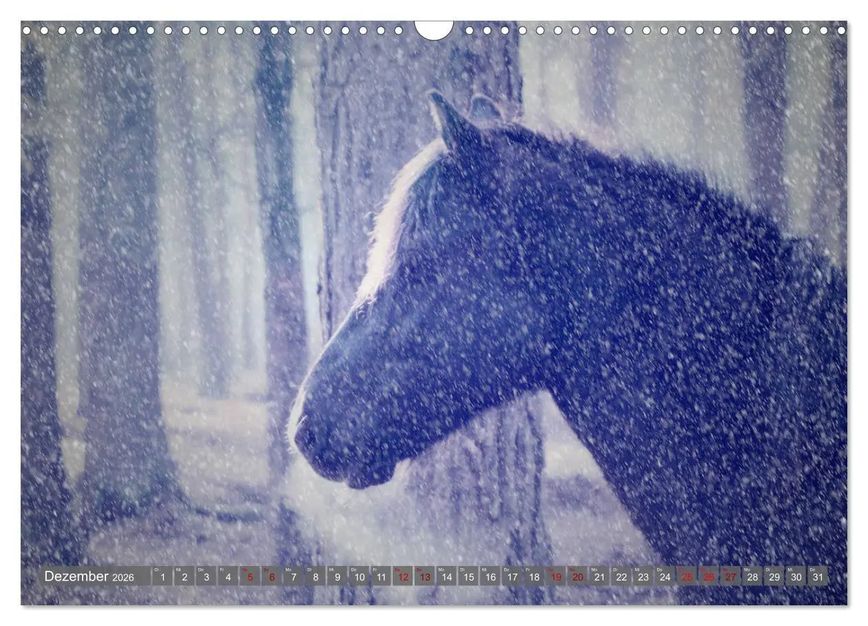 Bild: 9783457882351 | Dülmener Wildpferde - Wildpferde im Meerfelder Bruch (Wandkalender...