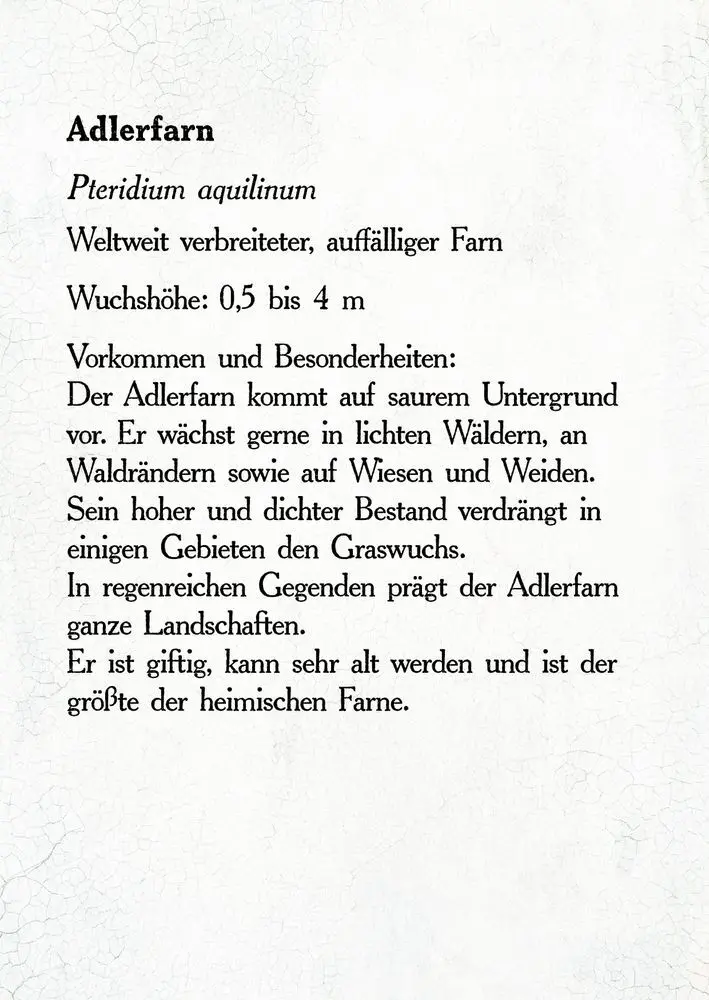 Bild: 9783649632351 | Sturmhöhe | Emily Brontë | Buch | 272 S. | Deutsch | 2019