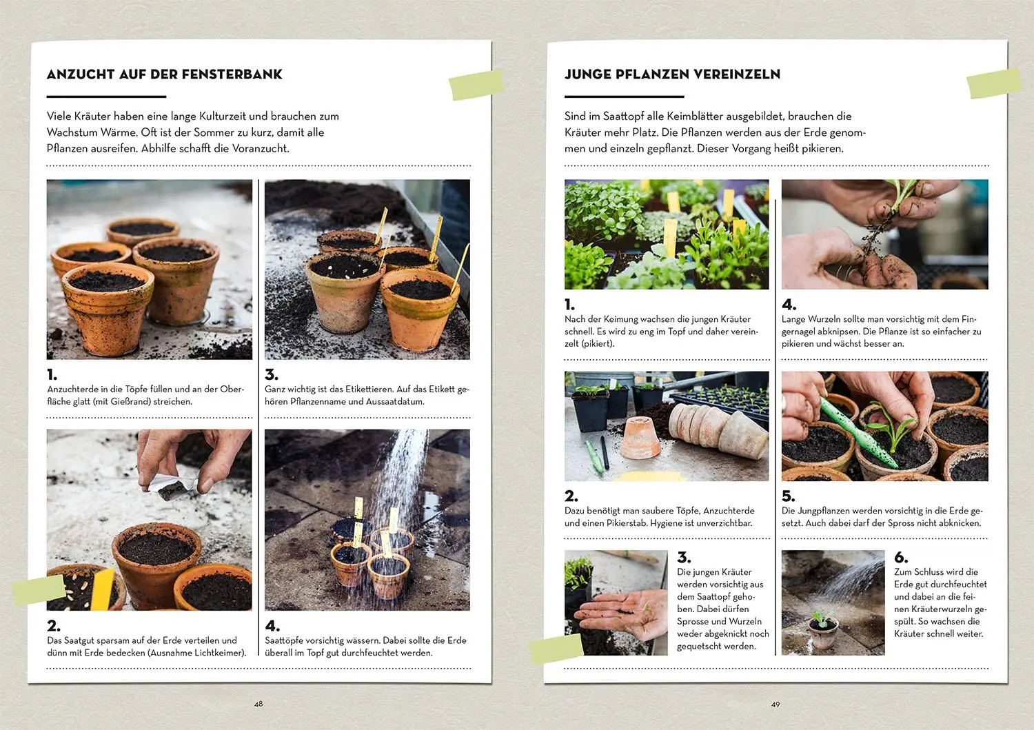 Bild: 9783440182451 | Kräuter im Hochbeet | Burkhard Bohne | Taschenbuch | 112 S. | Deutsch