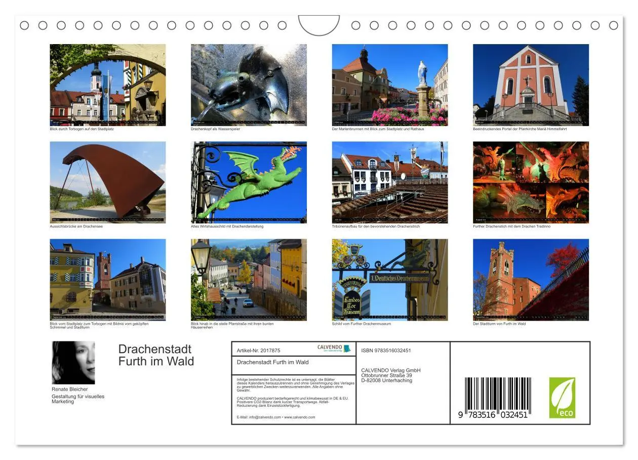 Bild: 9783516032451 | Drachenstadt Furth im Wald (Wandkalender 2026 DIN A4 quer),...