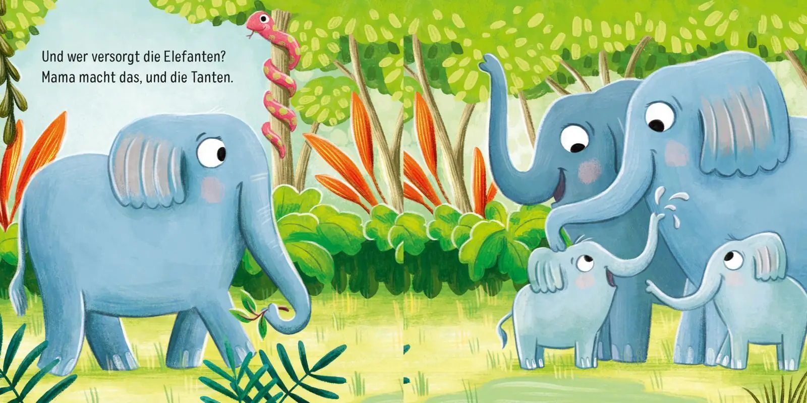 Bild: 9783551062451 | Baby Pixi (unkaputtbar) 128: Tierfamilien | Susanne Weber | Buch