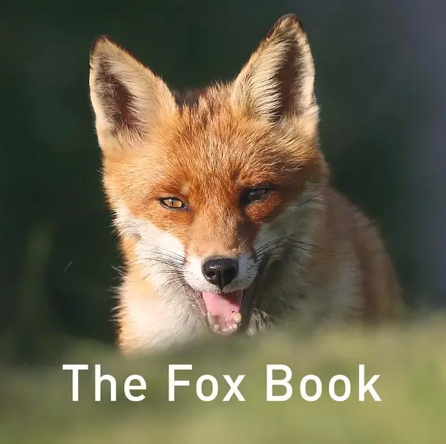 Cover: 9781910862551 | Nature Book Series: The Fox Book | Jane Russ | Buch | Gebunden | 2018