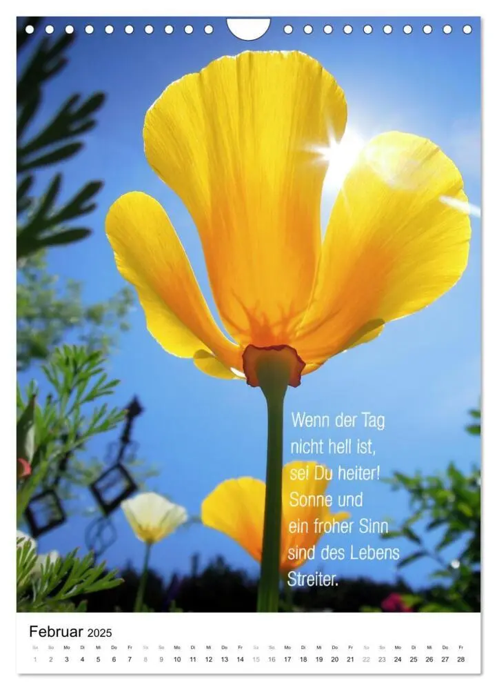 Bild: 9783435912551 | Licht Farbe Natur (Wandkalender 2025 DIN A4 hoch), CALVENDO...