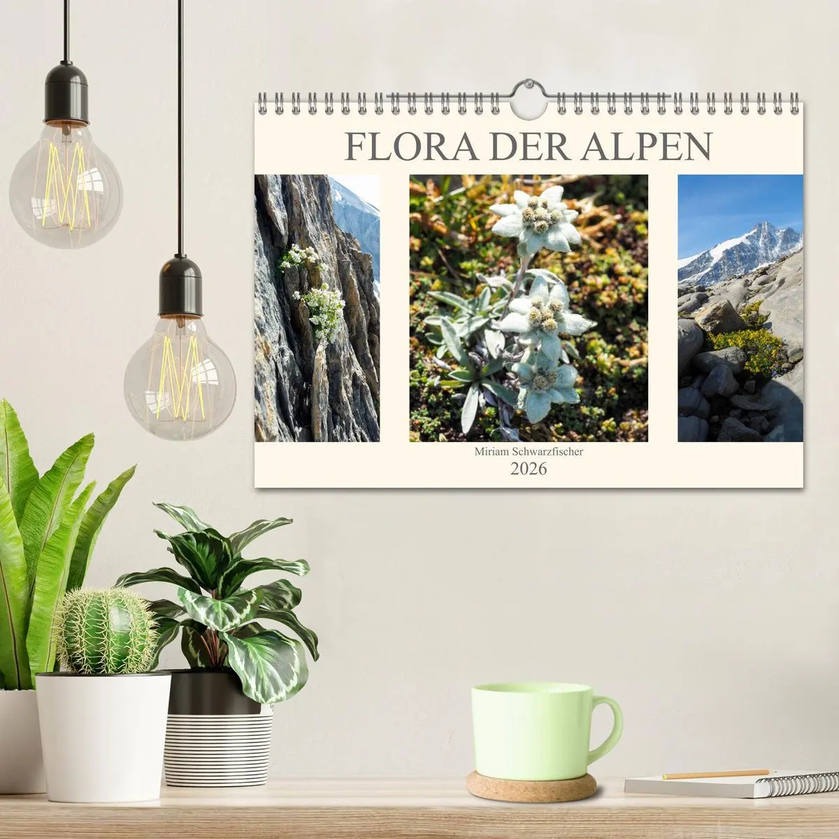 Bild: 9783457932551 | Flora der Alpen (Wandkalender 2026 DIN A4 quer), CALVENDO...