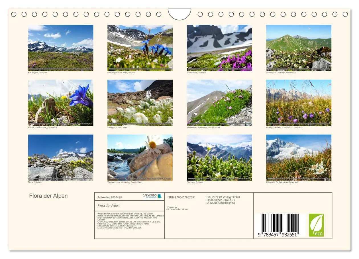 Bild: 9783457932551 | Flora der Alpen (Wandkalender 2026 DIN A4 quer), CALVENDO...