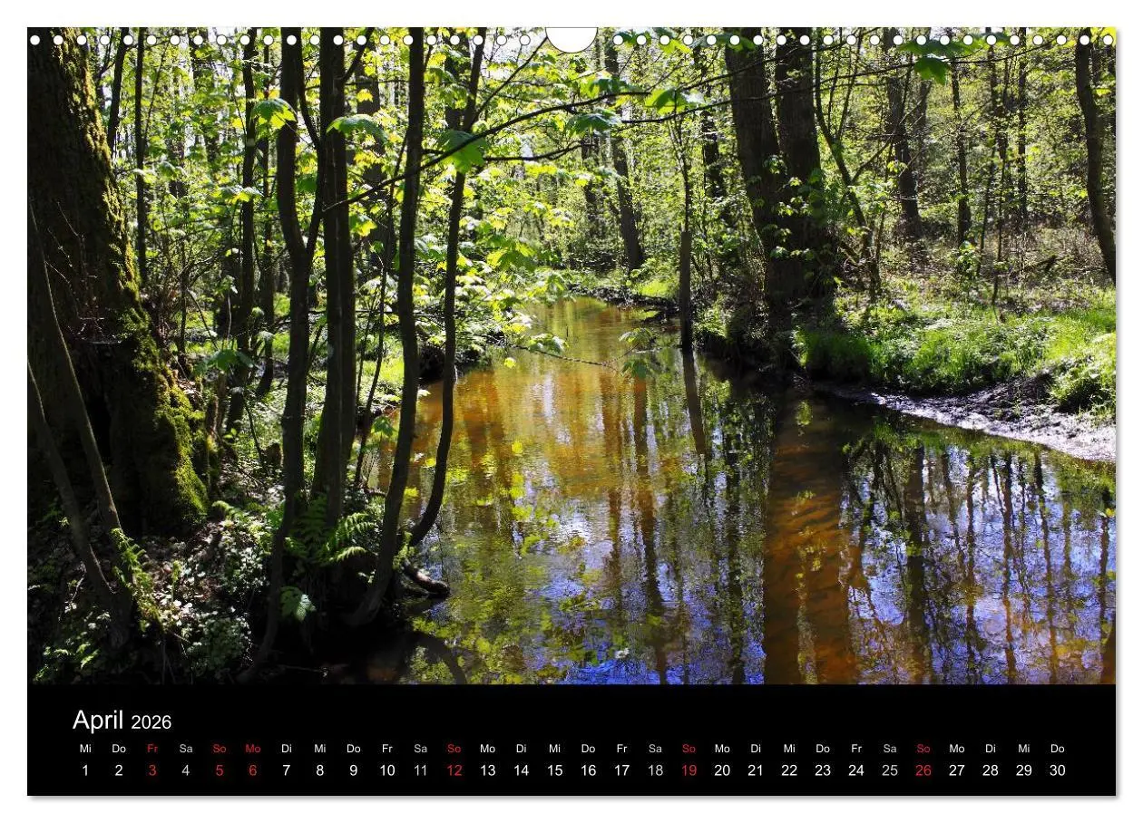 Bild: 9783516192551 | Lüneburg und die Lüneburger Heide (Wandkalender 2026 DIN A3 quer),...