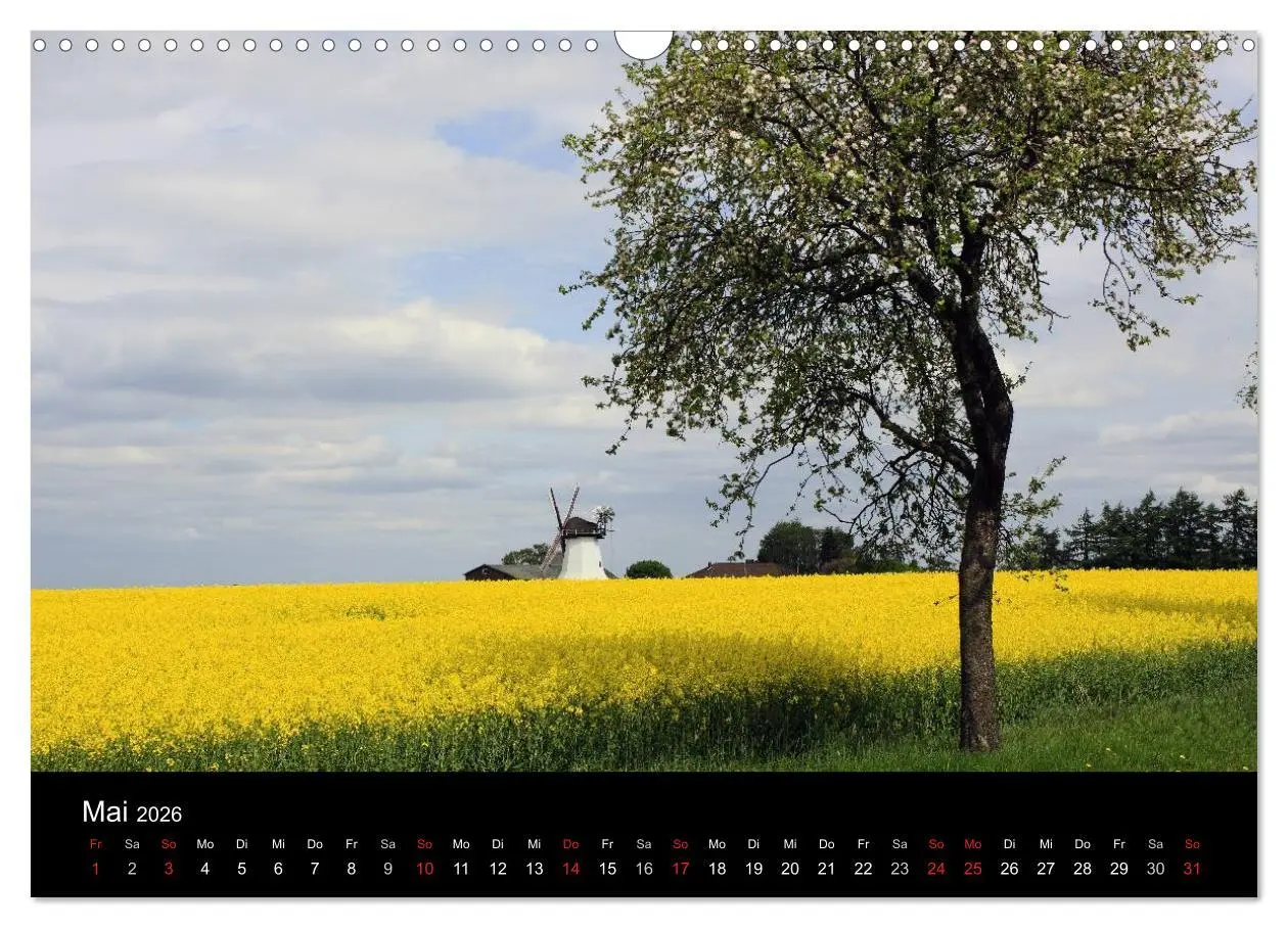 Bild: 9783516192551 | Lüneburg und die Lüneburger Heide (Wandkalender 2026 DIN A3 quer),...