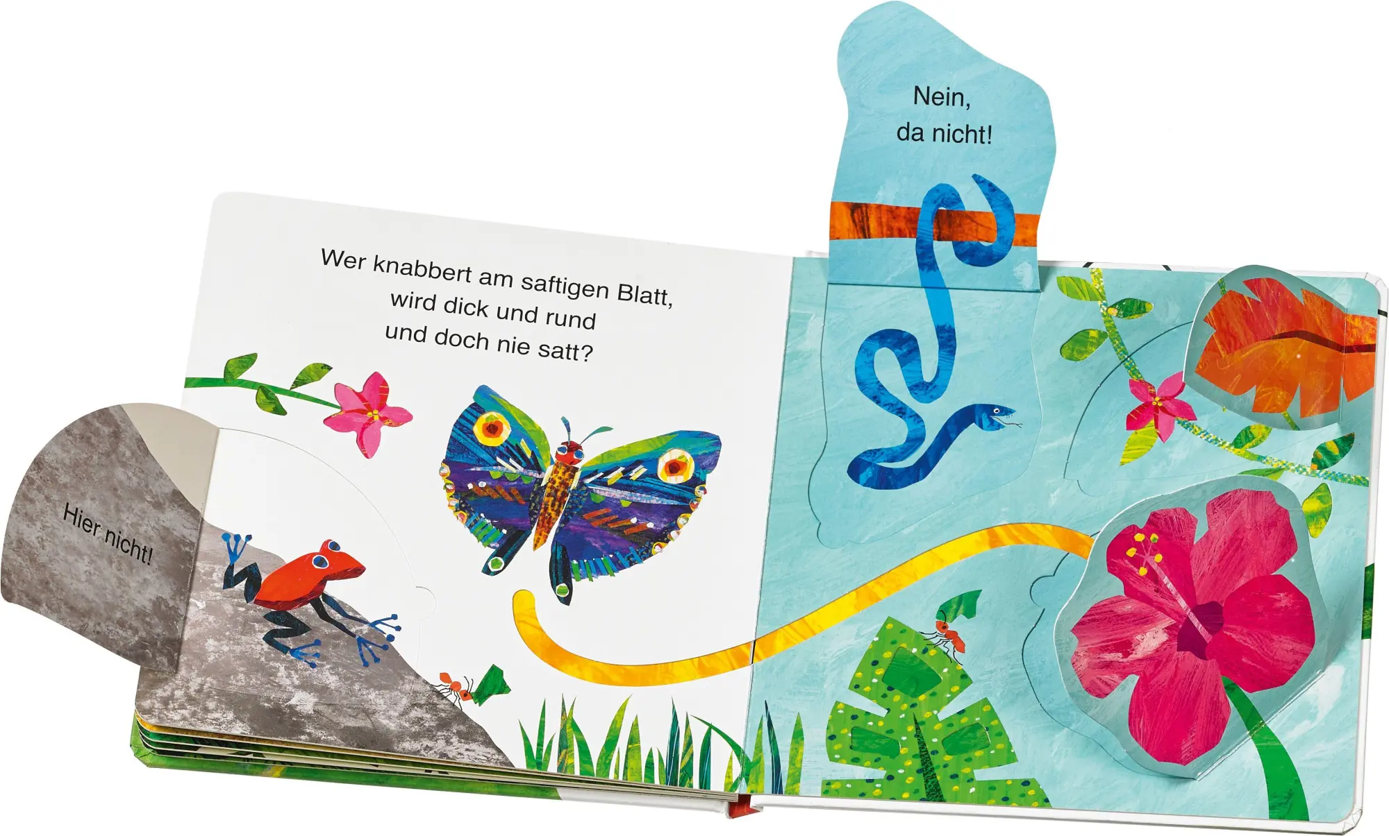 Bild: 9783836962551 | Die kleine Raupe Nimmersatt - Wer versteckt sich im Dschungel? | Carle