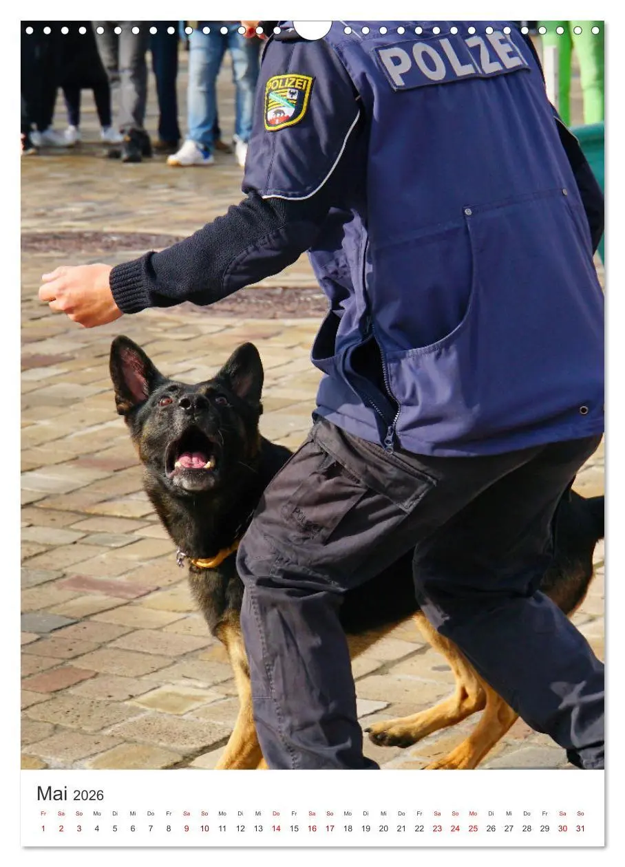 Bild: 9783516322651 | Tag der Polizei (Wandkalender 2026 DIN A3 hoch), CALVENDO...