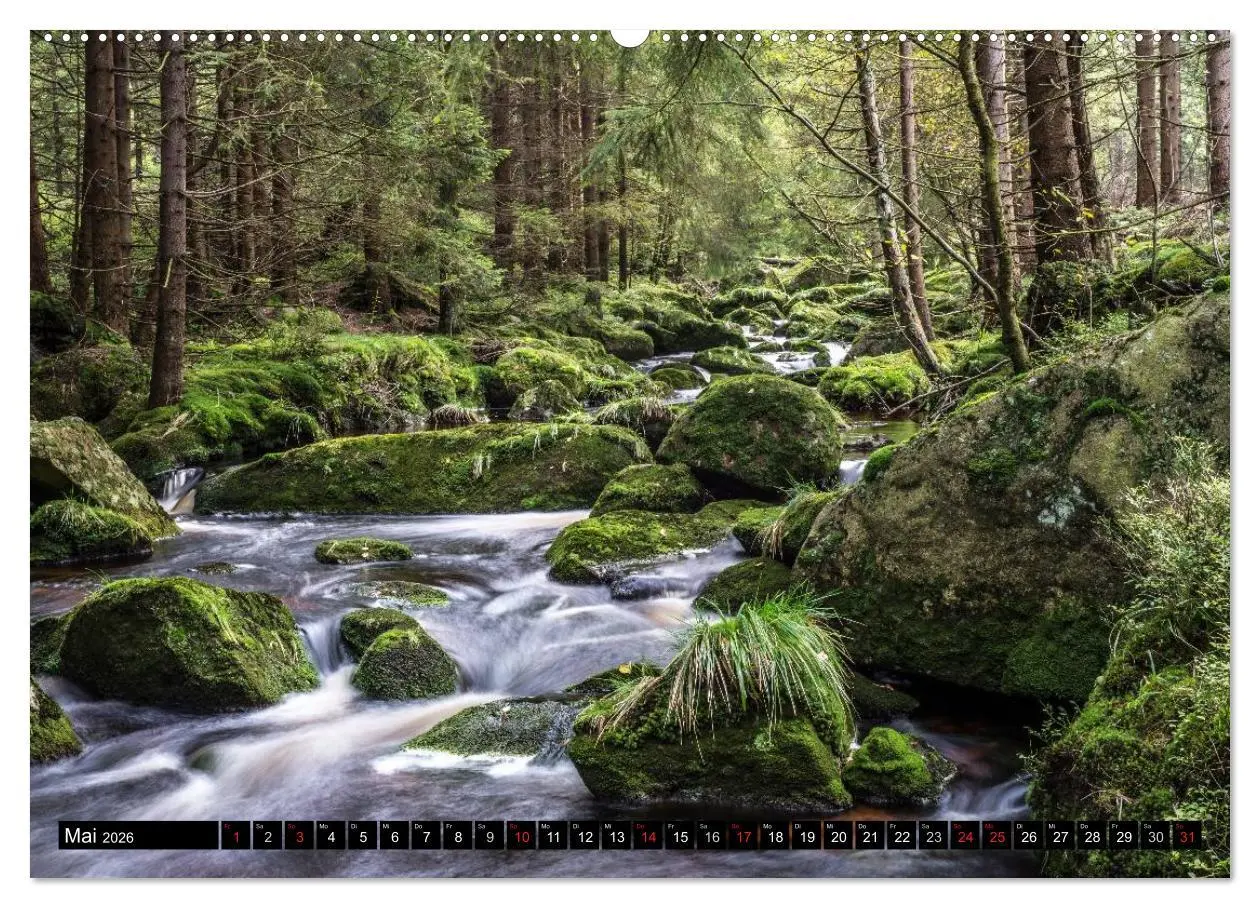Bild: 9783516002751 | Der Harz einfach magisch (Wandkalender 2026 DIN A2 quer), CALVENDO...