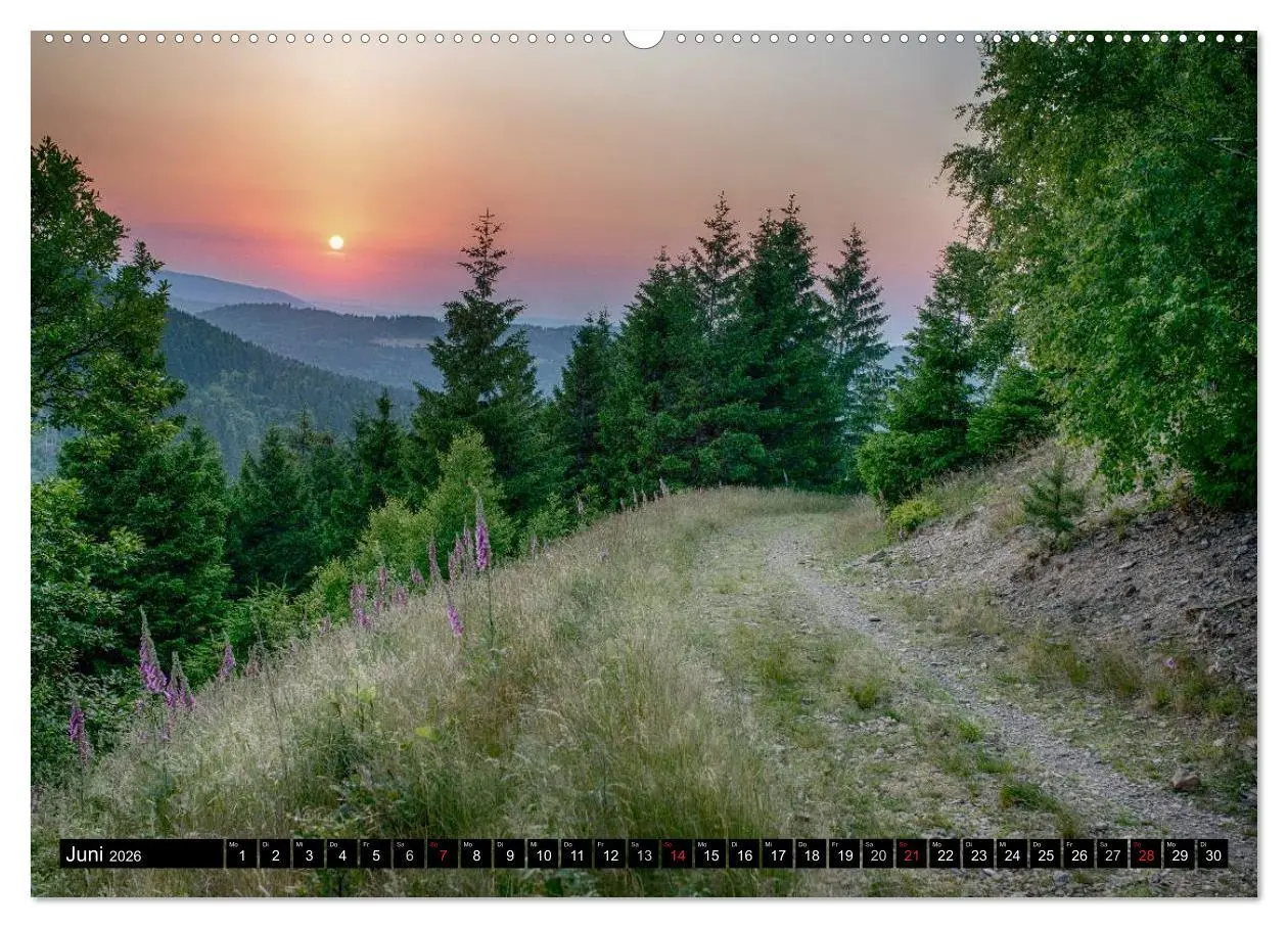 Bild: 9783516002751 | Der Harz einfach magisch (Wandkalender 2026 DIN A2 quer), CALVENDO...