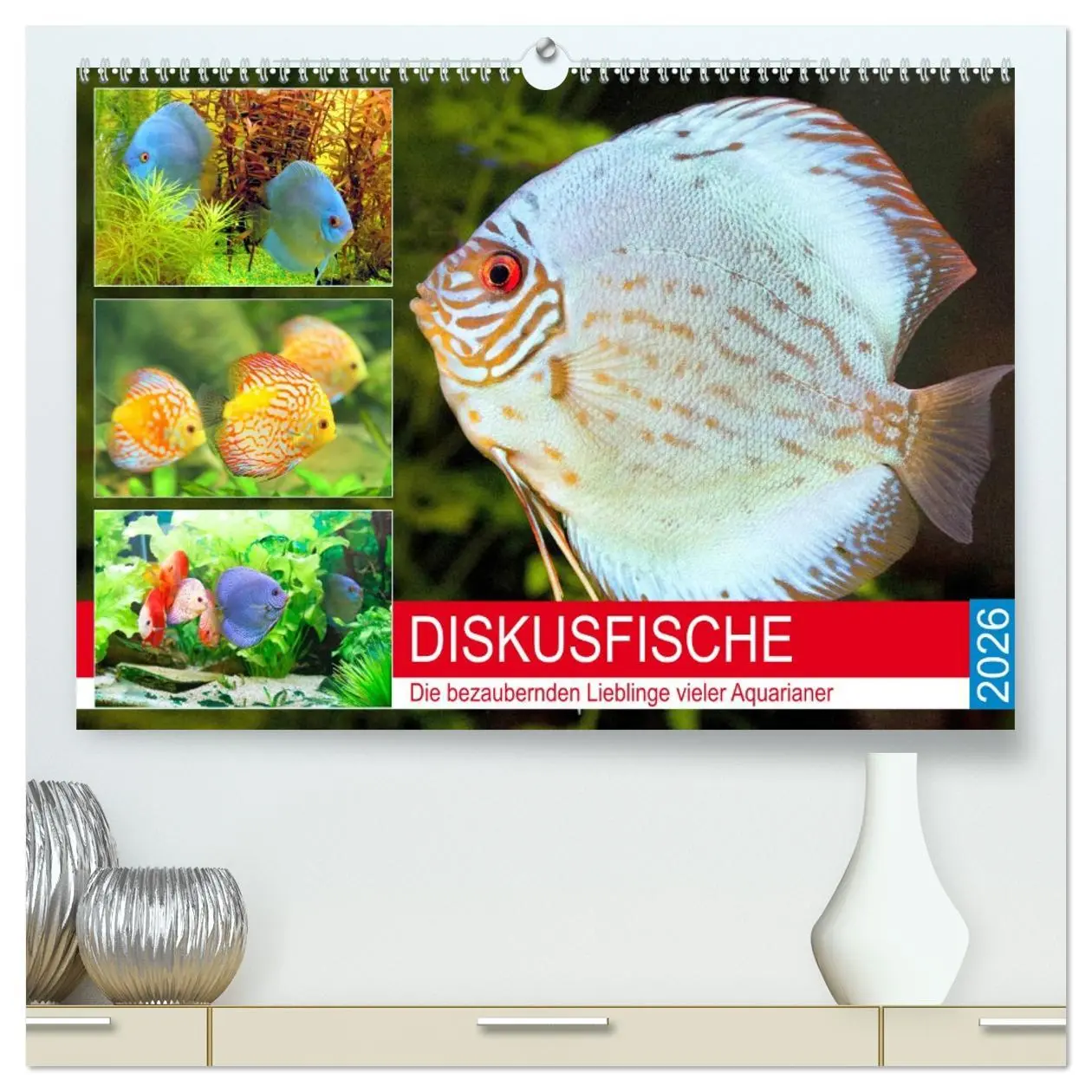 Cover: 9783457692851 | Diskusfische. Die bezaubernden Lieblinge vieler Aquarianer...