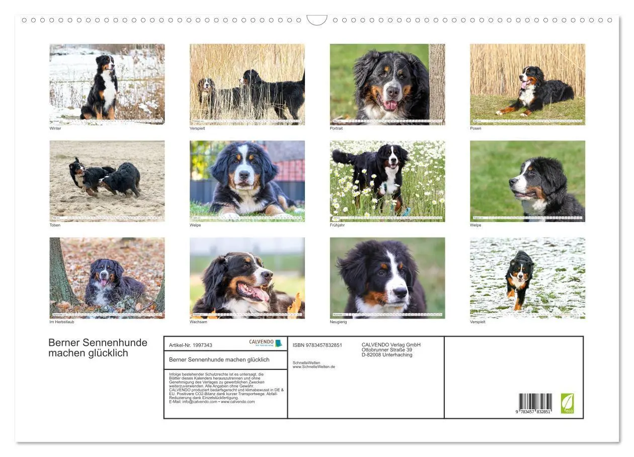 Bild: 9783457832851 | Berner Sennenhunde machen glücklich (Wandkalender 2026 DIN A2...