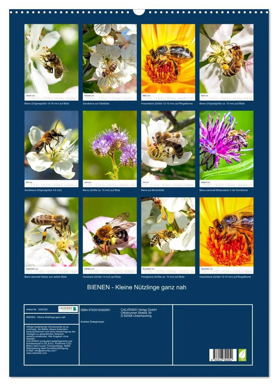 Bild: 9783516392951 | BIENEN - Kleine Nützlinge ganz nah (Wandkalender 2026 DIN A2 hoch),...