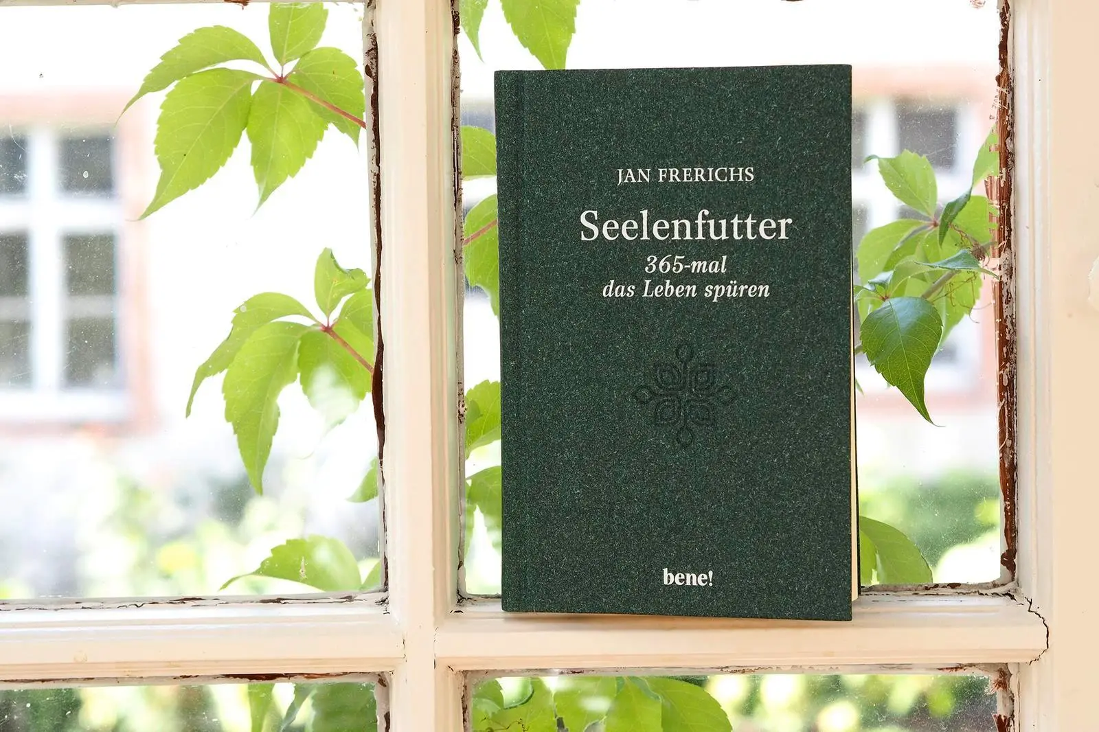 Bild: 9783963402951 | Seelenfutter - 365-mal das Leben spüren | Gute Gedanken für jeden Tag