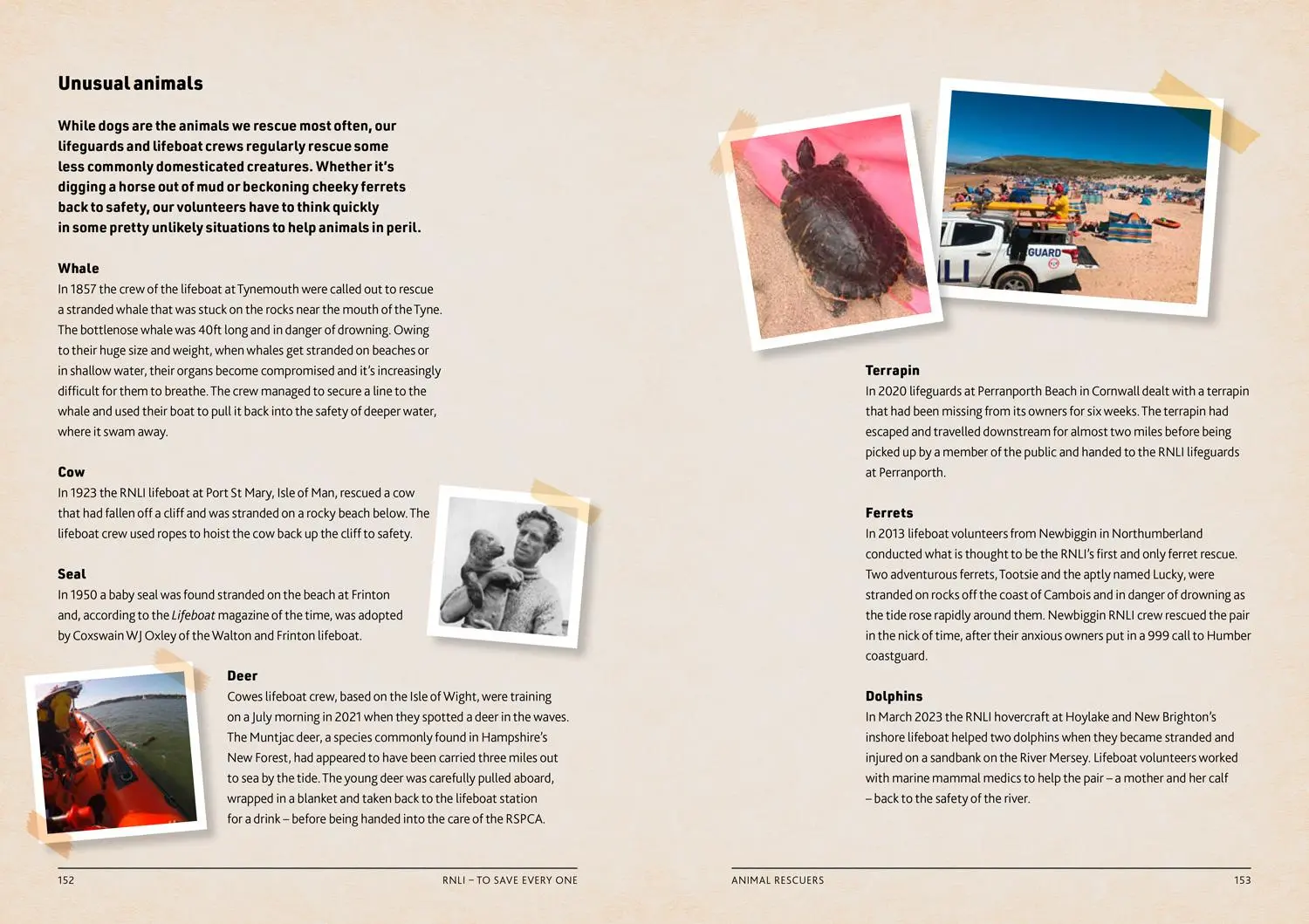 Bild: 9780008613051 | To Save Every One | 200 Years of RNLI Courage | The Rnli | Buch | 2024