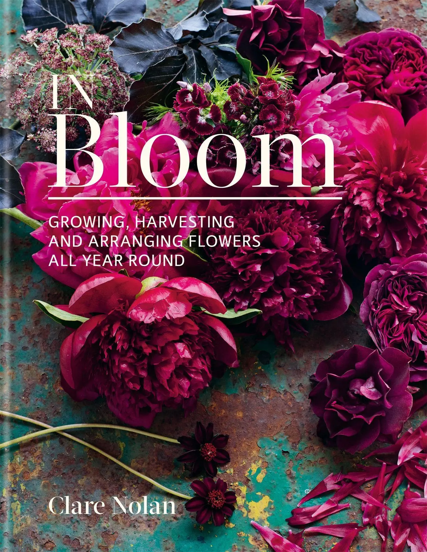 Cover: 9780857833051 | In Bloom | Growing, harvesting and arranging flowers all year round Cover: 9780857833051 | In Bloom | Growing, harvesting and arranging flowers all year round
