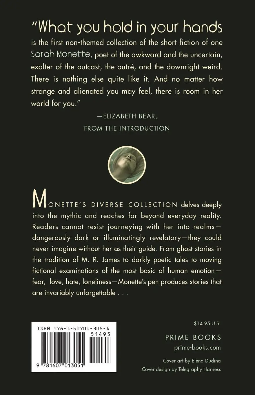 Rückseite: 9781607013051 | Somewhere Beneath Those Waves | Sarah Monette | Taschenbuch | Englisch