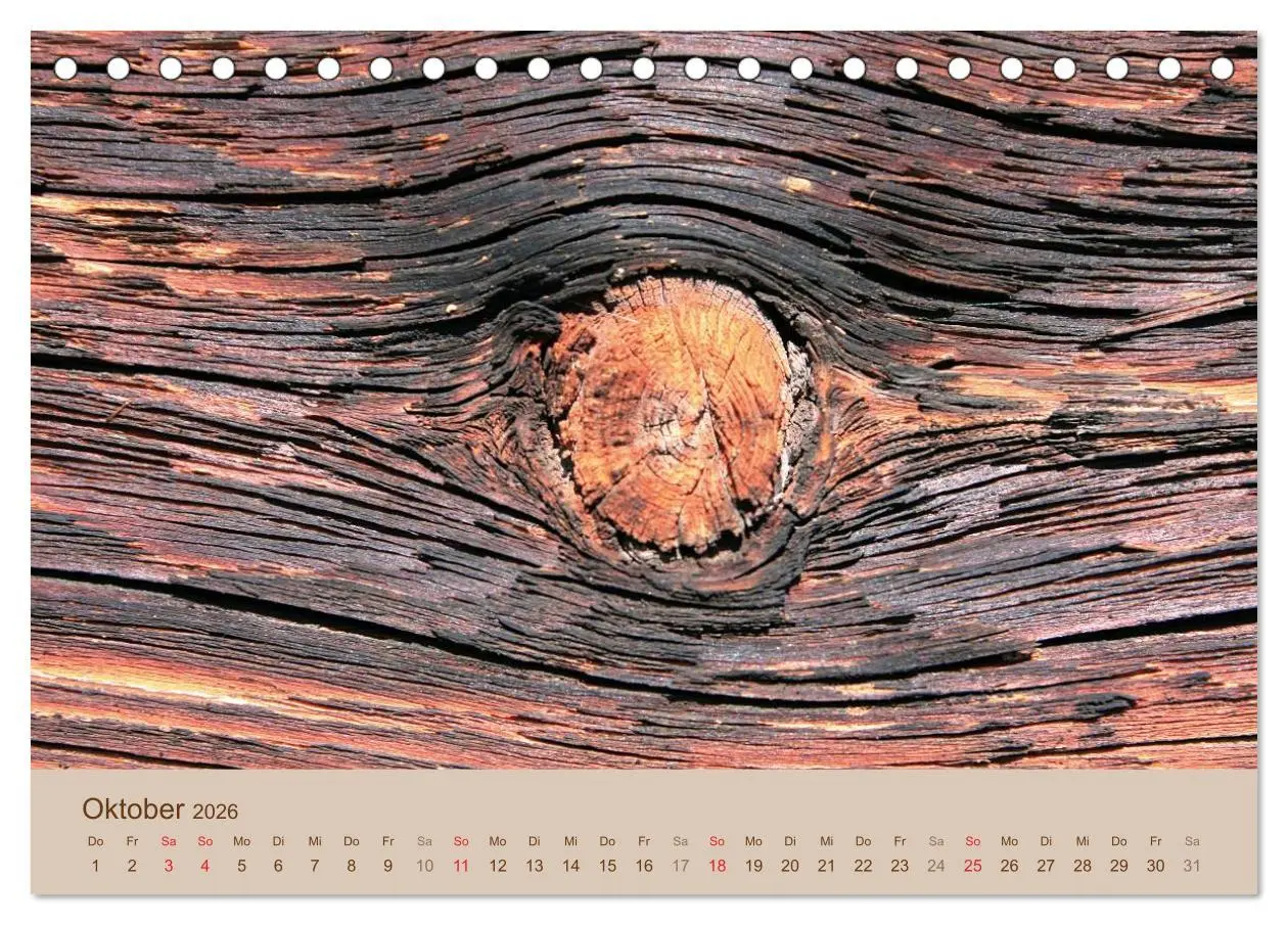 Bild: 9783457953051 | Farben des Holzes (Tischkalender 2026 DIN A5 quer), CALVENDO...