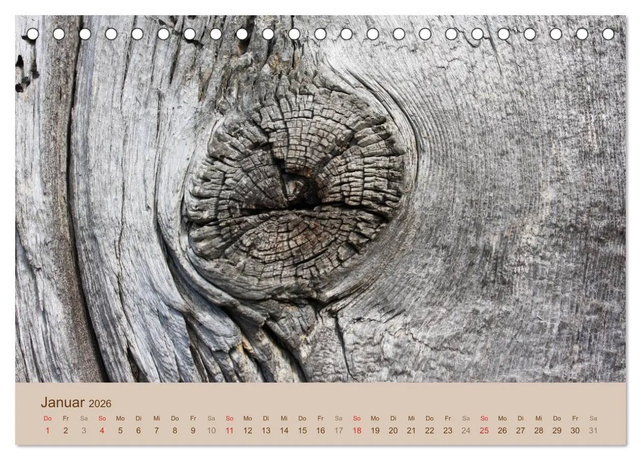 Bild: 9783457953051 | Farben des Holzes (Tischkalender 2026 DIN A5 quer), CALVENDO...