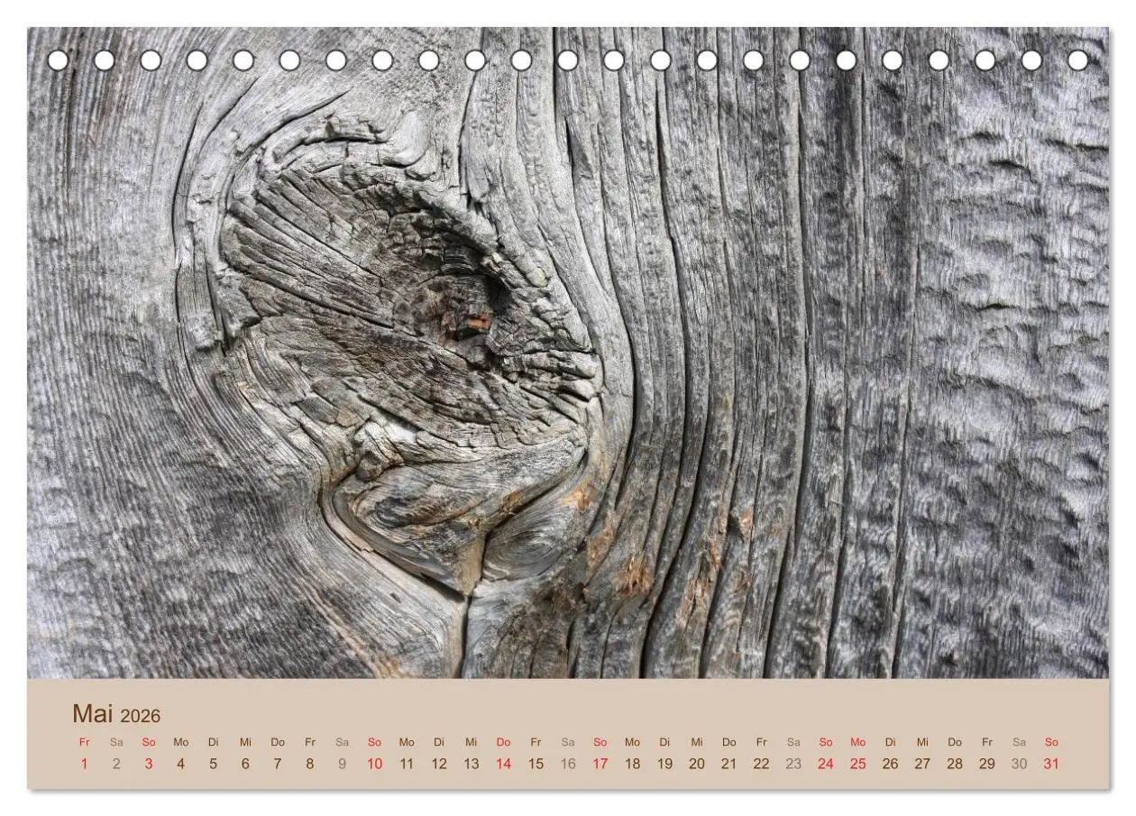 Bild: 9783457953051 | Farben des Holzes (Tischkalender 2026 DIN A5 quer), CALVENDO...