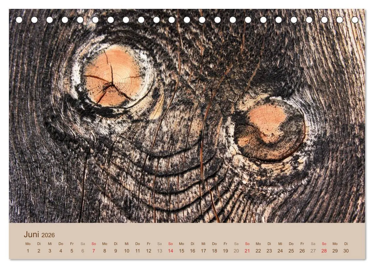 Bild: 9783457953051 | Farben des Holzes (Tischkalender 2026 DIN A5 quer), CALVENDO...