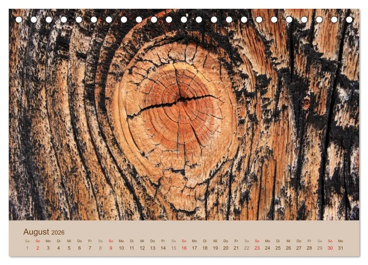 Bild: 9783457953051 | Farben des Holzes (Tischkalender 2026 DIN A5 quer), CALVENDO...