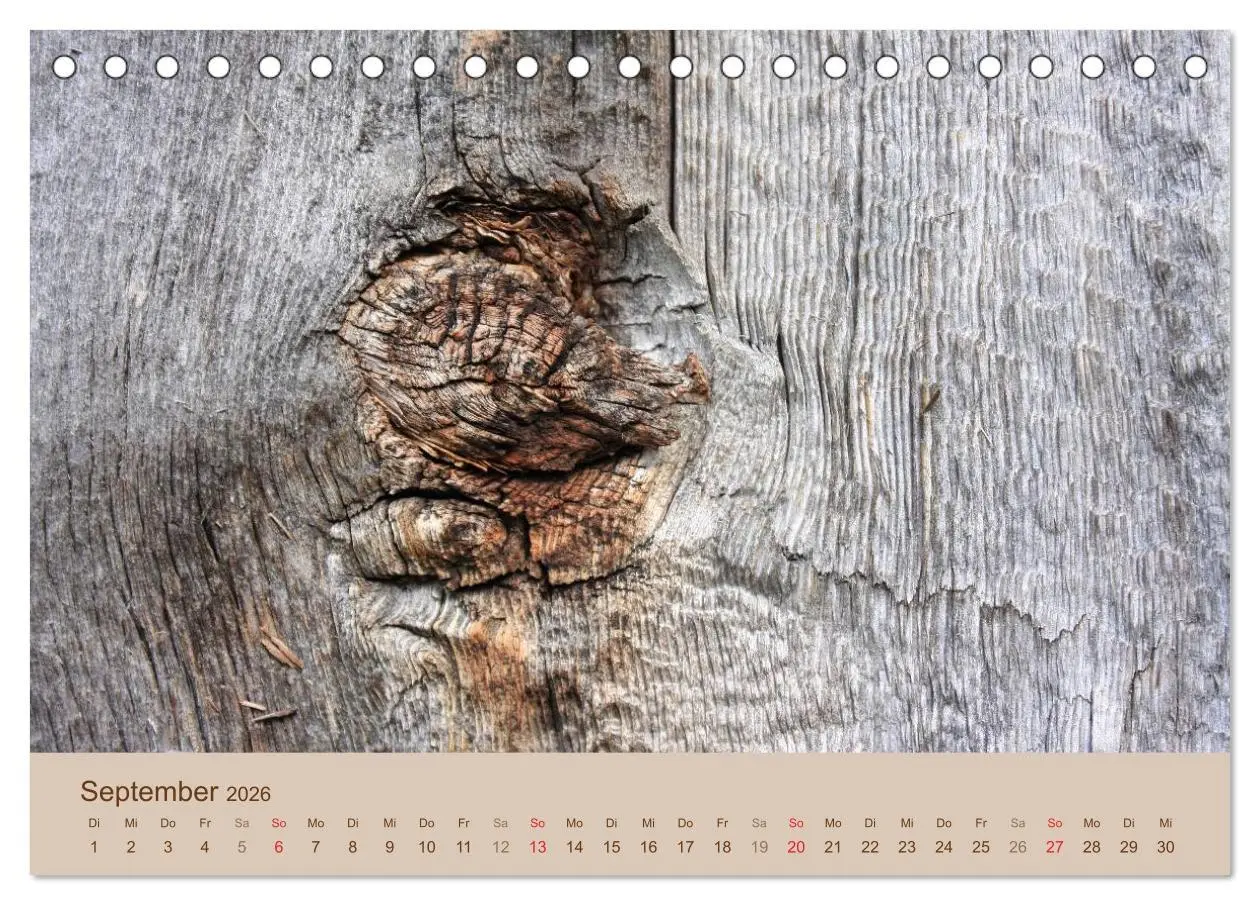 Bild: 9783457953051 | Farben des Holzes (Tischkalender 2026 DIN A5 quer), CALVENDO...