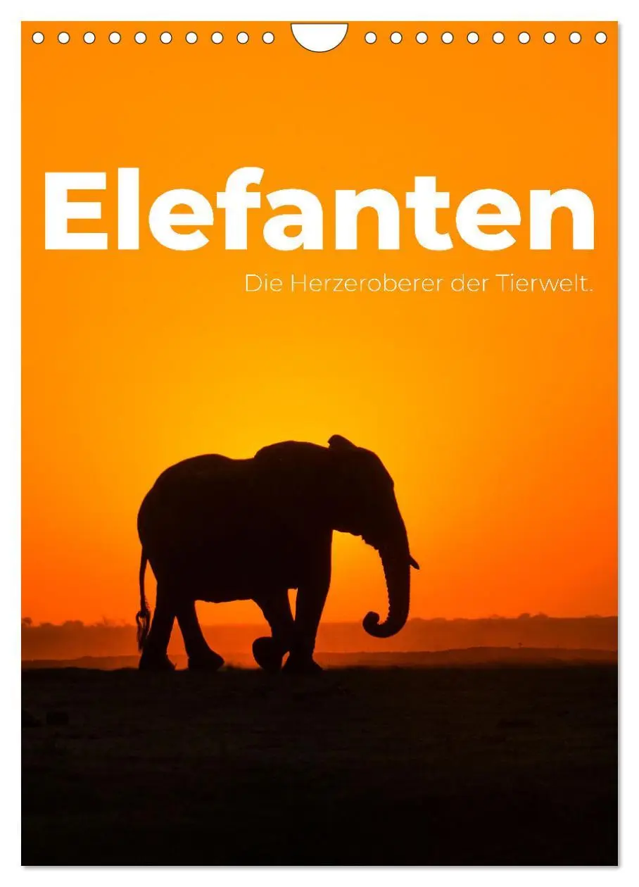 Cover: 9783516353051 | Elefanten - Die Herzeroberer der Tierwelt. (Wandkalender 2026 DIN...