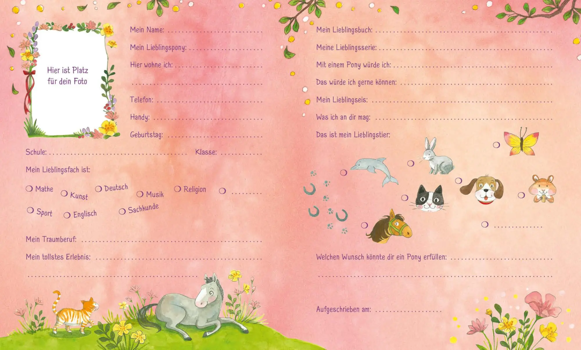 Bild: 9783743203051 | Meine Freunde (Ponys) | Erinnerungsbuch für Kinder ab 6 Jahre | Buch