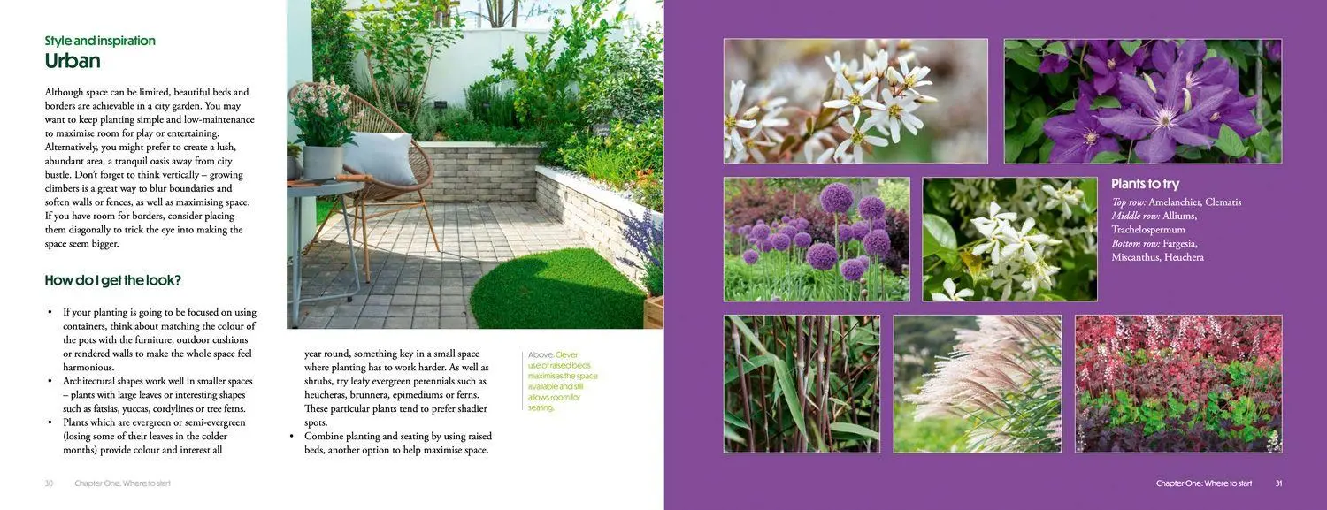 Bild: 9780008773151 | How to Create Beautiful Flowerbeds and Borders | Books (u. a.) | Buch