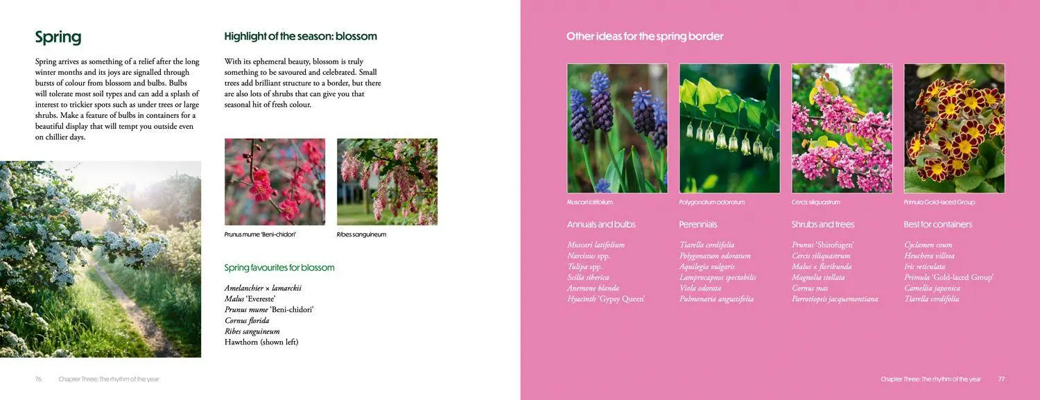 Bild: 9780008773151 | How to Create Beautiful Flowerbeds and Borders | Books (u. a.) | Buch