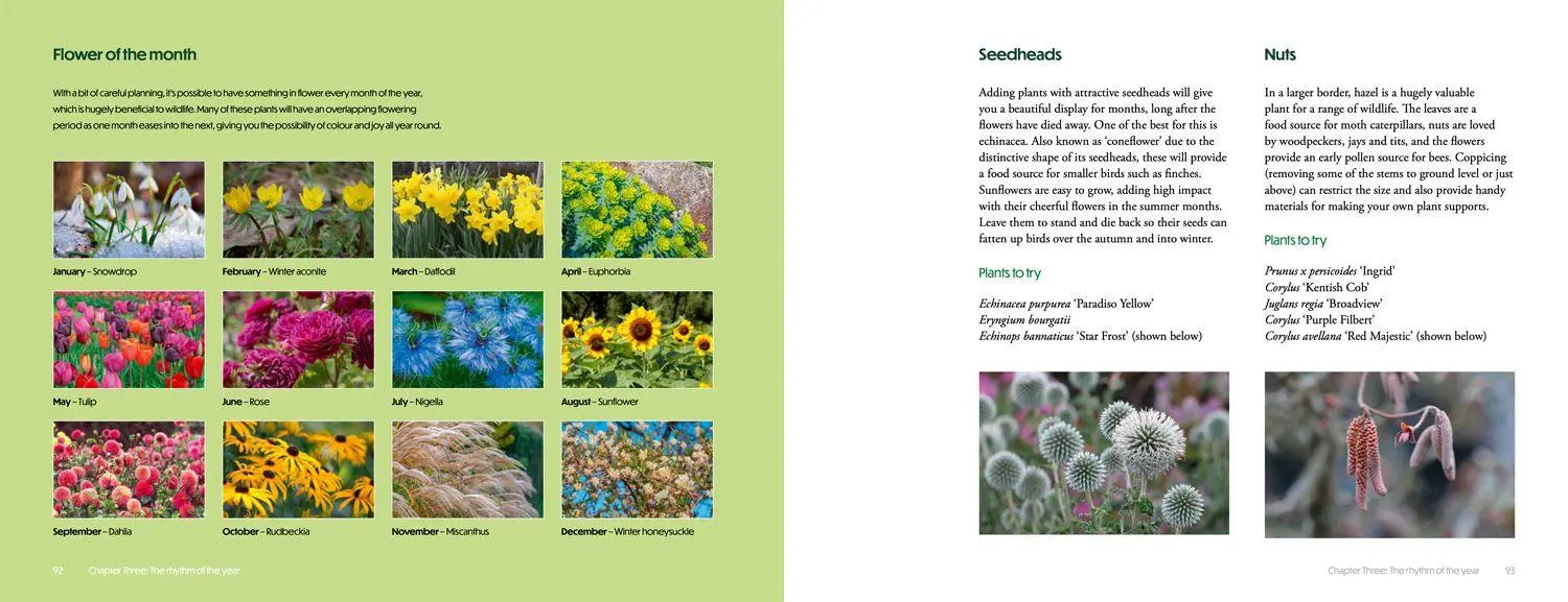 Bild: 9780008773151 | How to Create Beautiful Flowerbeds and Borders | Books (u. a.) | Buch