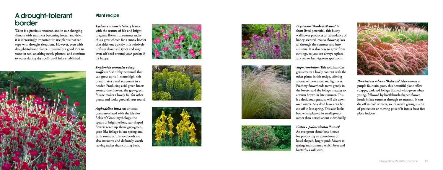 Bild: 9780008773151 | How to Create Beautiful Flowerbeds and Borders | Books (u. a.) | Buch