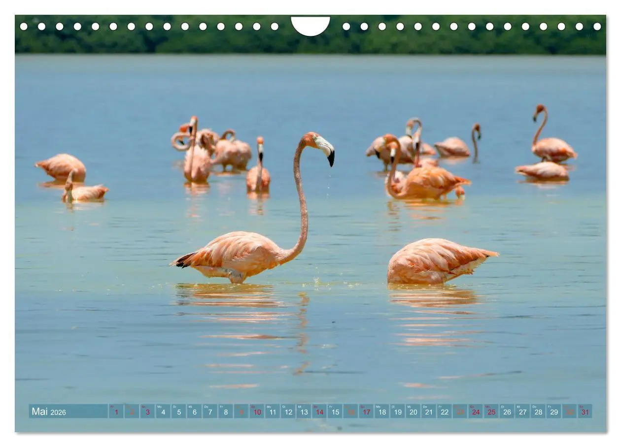 Bild: 9783457323151 | Geheimnisvolle Orte Yucatán (Wandkalender 2026 DIN A4 quer),...
