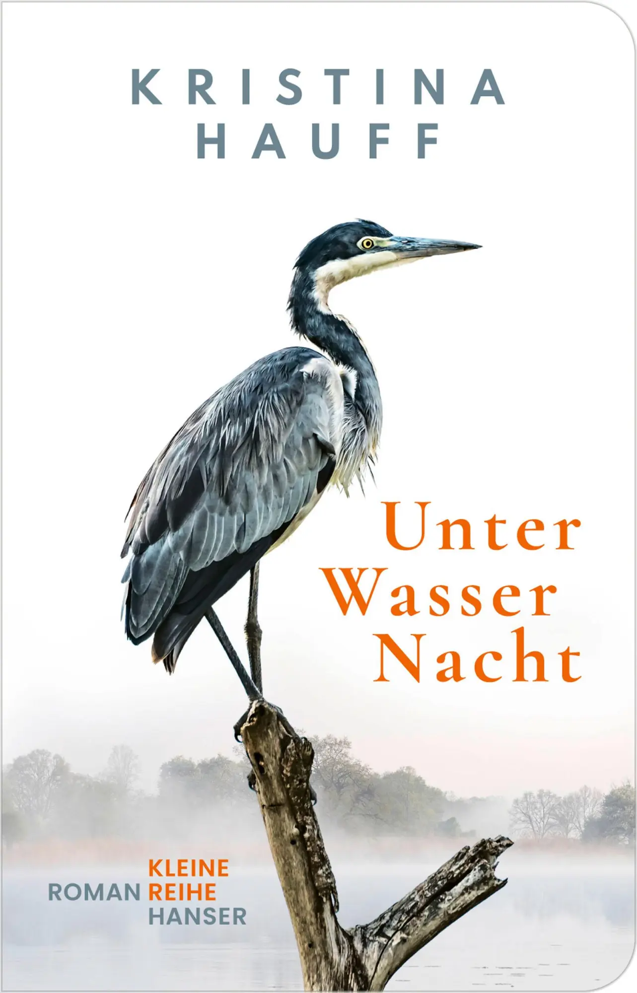 Cover: 9783446283251 | Unter Wasser Nacht | Roman | Kristina Hauff | Buch | 336 S. | Deutsch
