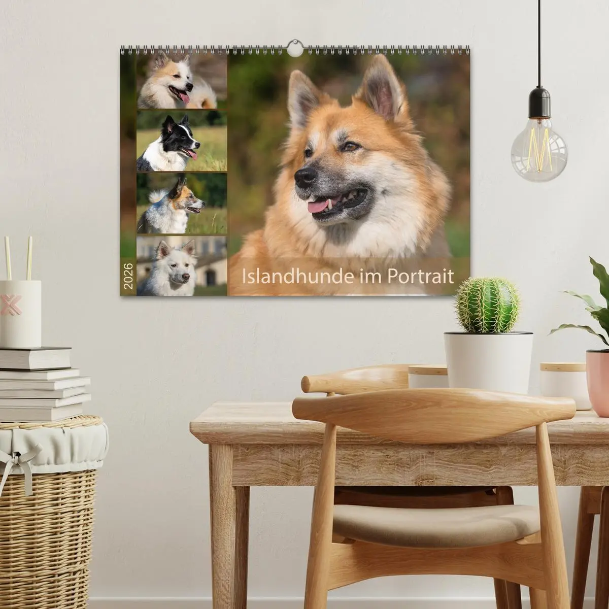 Bild: 9783457933251 | Islandhunde im Portrait (Wandkalender 2026 DIN A3 quer), CALVENDO...
