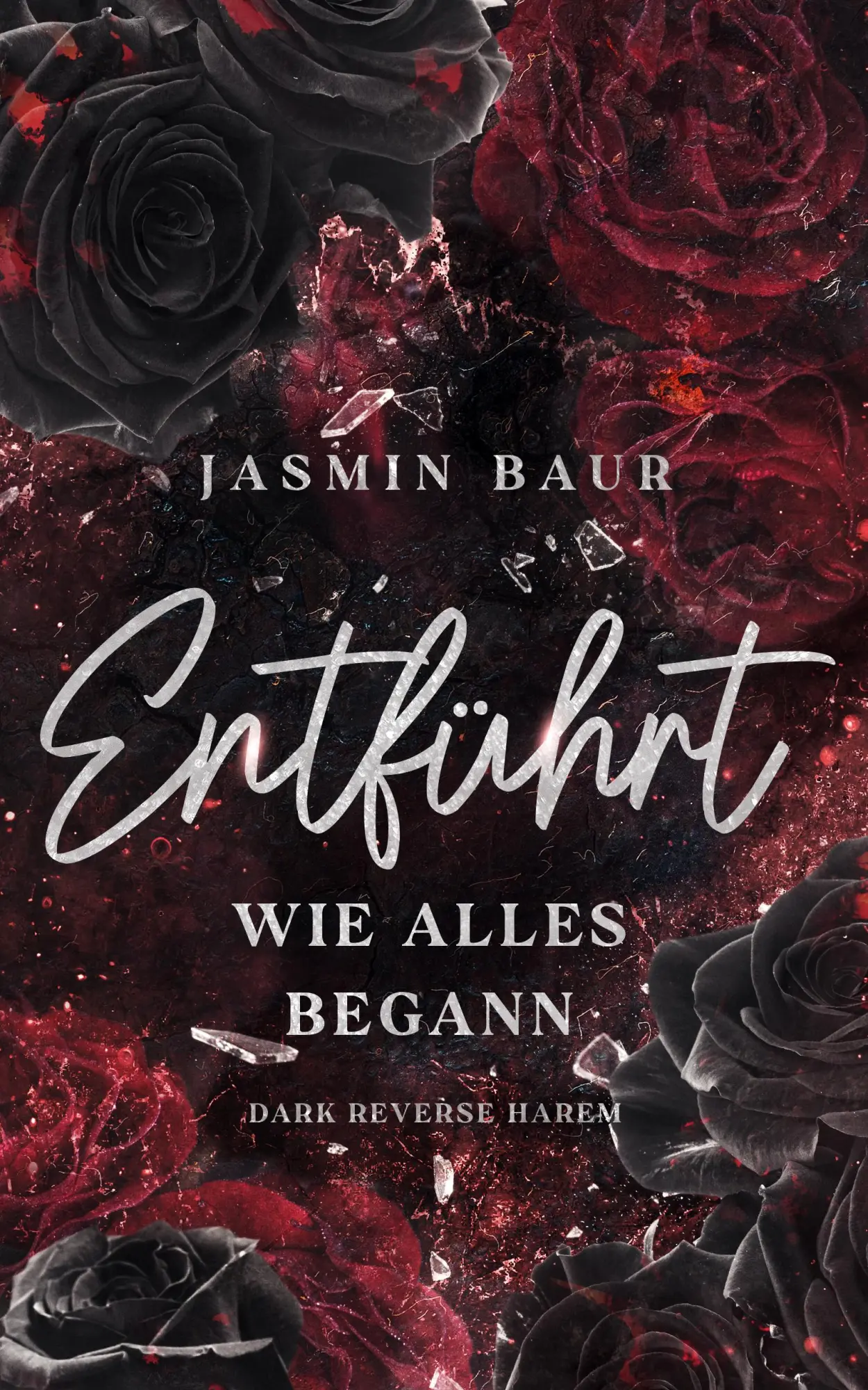 Cover: 9783989423251 | Entführt | Jasmin Baur | Taschenbuch | Entführt-Reihe | 290 S. | 2024