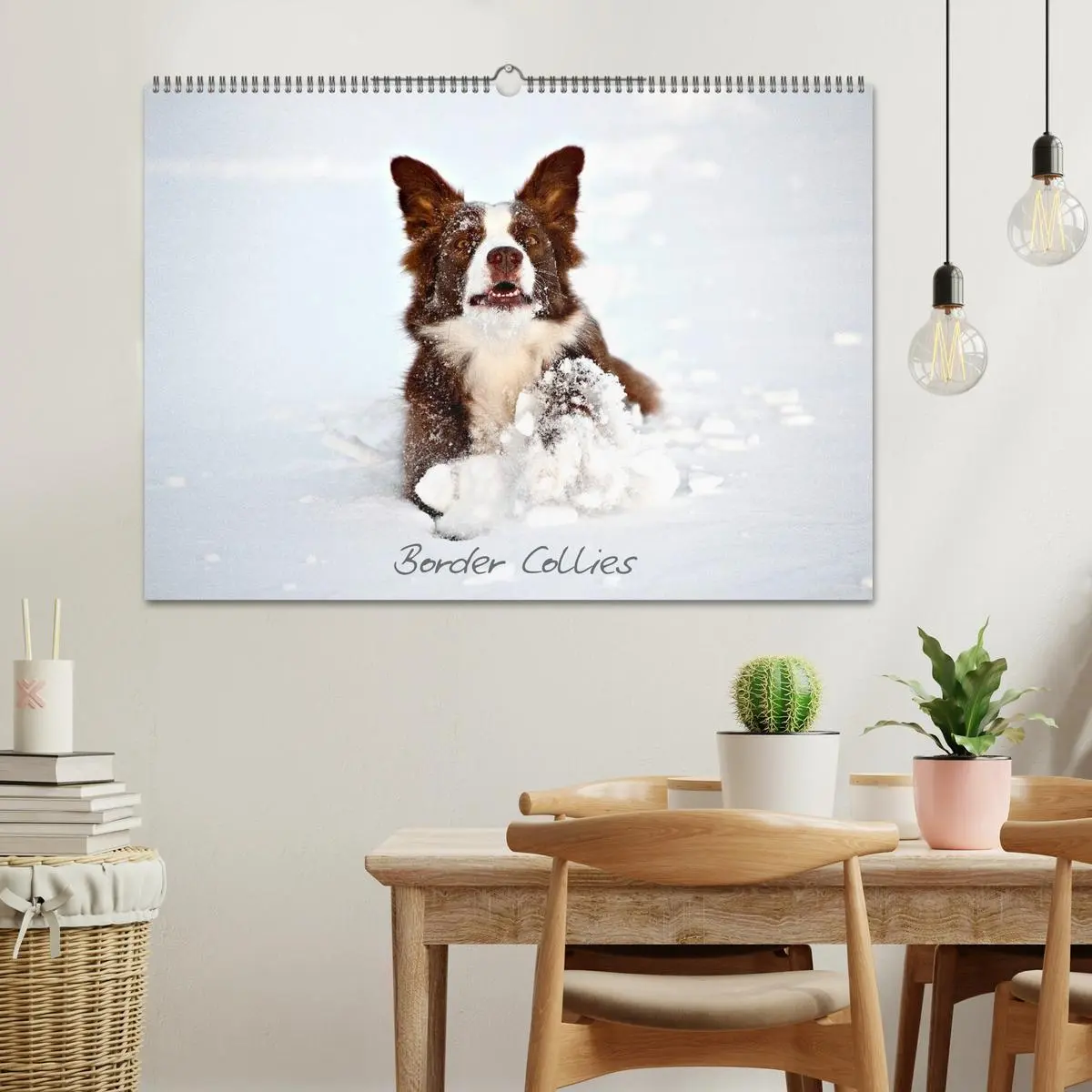 Bild: 9783516173451 | Border Collies (Wandkalender 2026 DIN A2 quer), CALVENDO...