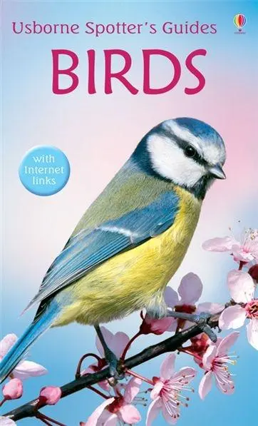 Cover: 9780746073551 | Birds | Peter Holden | Taschenbuch | Kartoniert / Broschiert | 2006