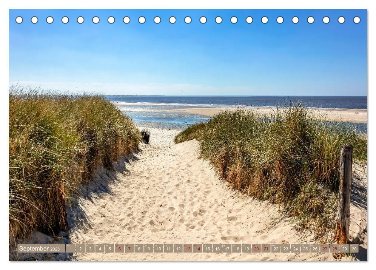 Bild: 9783435053551 | Inselliebe Langeoog (Tischkalender 2025 DIN A5 quer), CALVENDO...