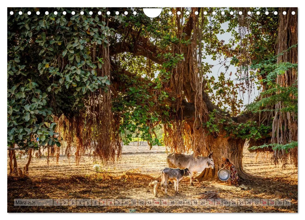 Bild: 9783457833551 | Indien Rajasthan: Unterwegs im Land der Könige (Wandkalender 2026...