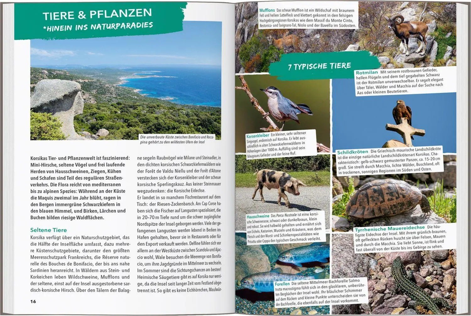 Bild: 9783575023551 | MARCO POLO OUTDOOR GUIDE Reiseführer Korsika | Timo Lutz | Taschenbuch