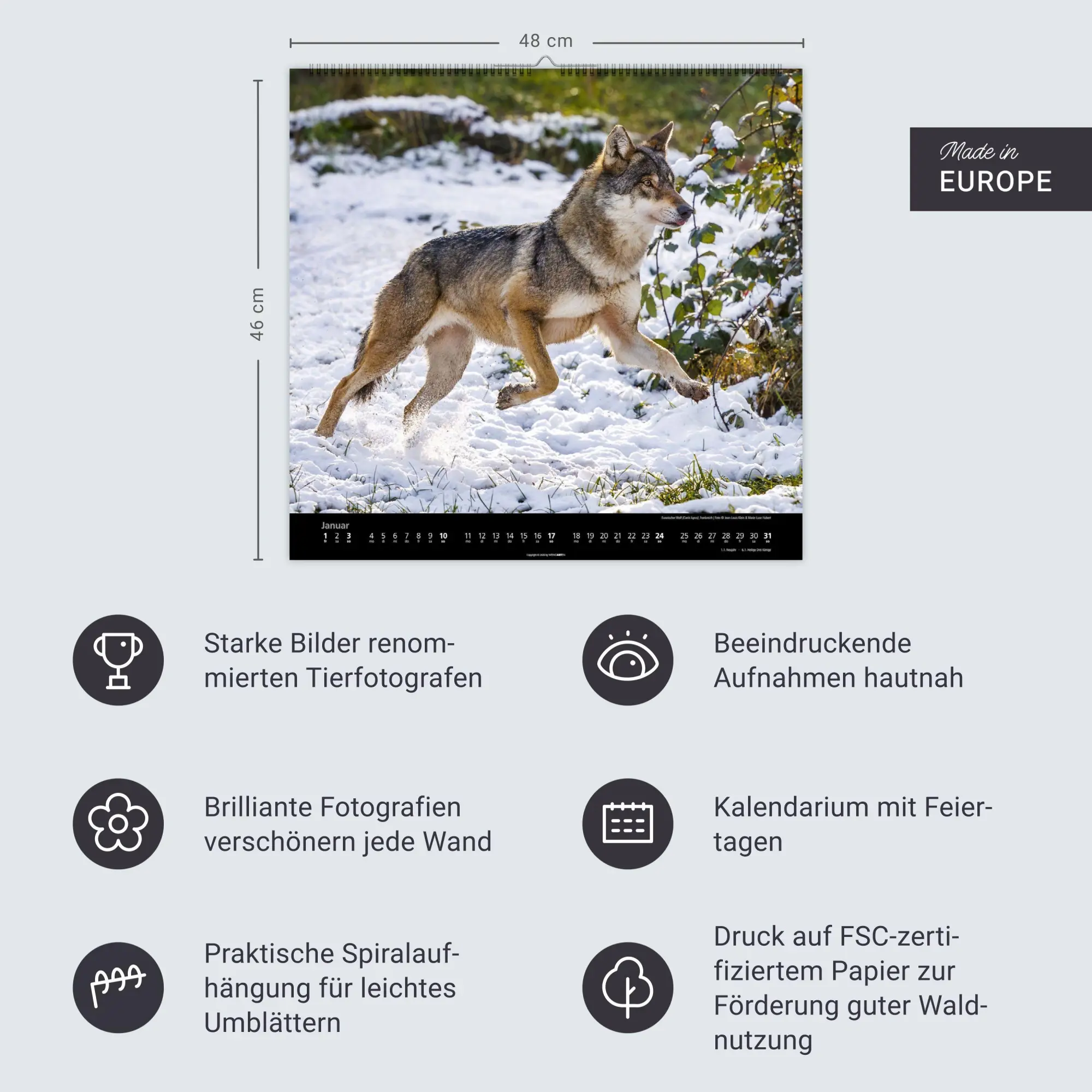 Bild: 9783839903551 | Wölfe Kalender 2027 | Marie-Luce Hubert | Kalender | Spiralbindung