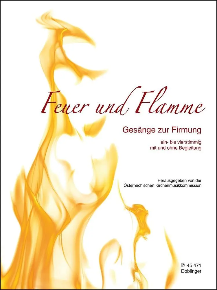 Cover: 9790012203551 | Feuer und Flamme | Gesänge zur Firmung | Kirchenmusikkommission | 2014