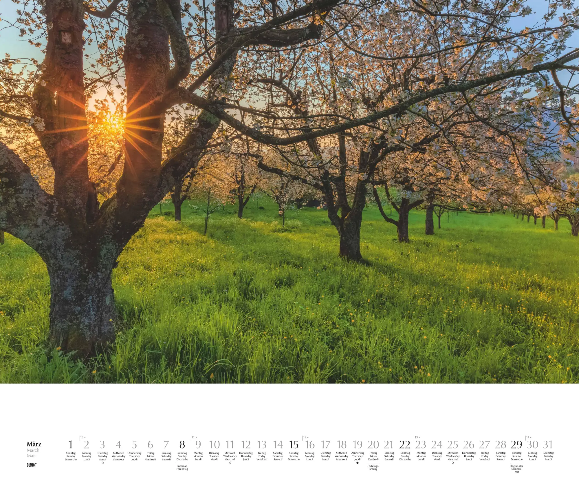 Bild: 4069095003651 | Licht in der Landschaft 2026 - Wandkalender 60,0 x 50,0 cm -...
